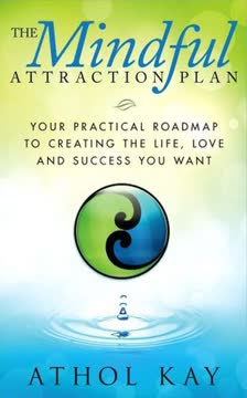 The Mindful Attraction Plan Summary