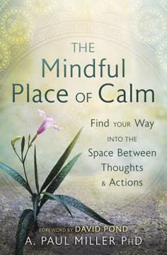 The Mindful Place of Calm by A. Paul Miller