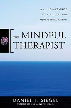 The Mindful Therapist Summary