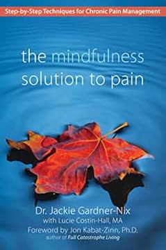 The Mindfulness Solution to Pain Summary