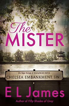 The Mister Summary