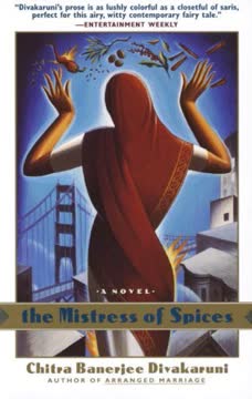 The Mistress of Spices Summary