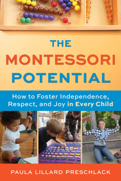 The Montessori Potential Summary