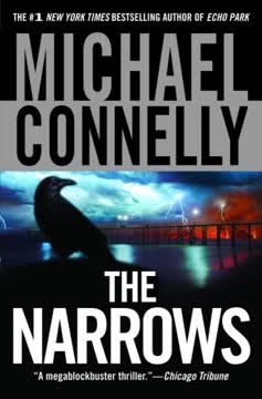 The Narrows Summary