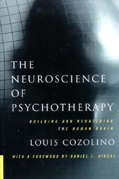 The Neuroscience of Psychotherapy Summary