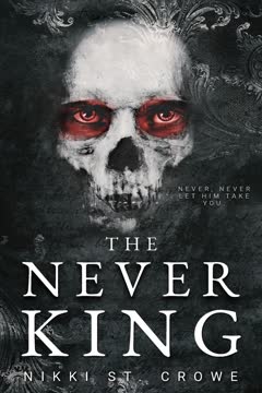 The Never King Summary