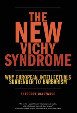 The New Vichy Syndrome Summary