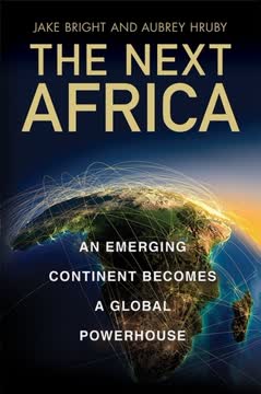 The Next Africa Summary