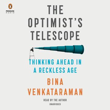 The Optimist&#039;s Telescope Summary