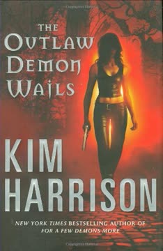 The Outlaw Demon Wails Summary
