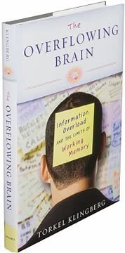 The Overflowing Brain Summary