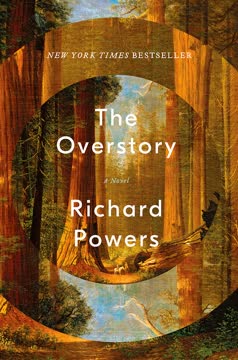 The Overstory Summary