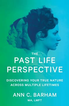 The Past Life Perspective Summary