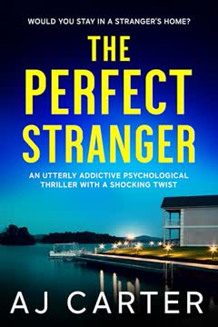 The Perfect Stranger Summary