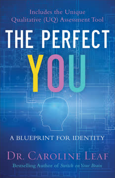 The Perfect You Summary