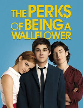 The Perks of Being a Wallflower Summary