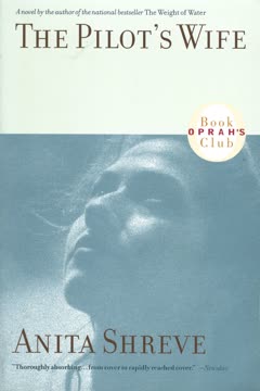 The Pilot's Wife Summary