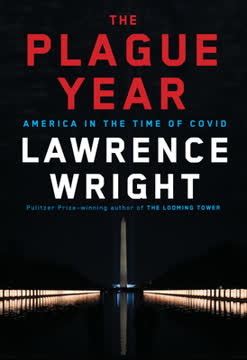 The Plague Year Summary
