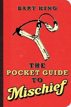 The Pocket Guide to Mischief Summary