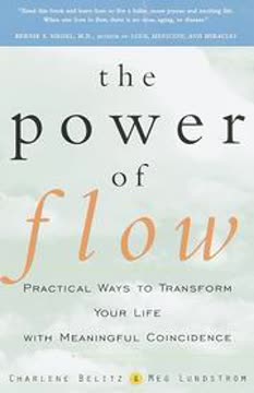 The Power of Flow Summary