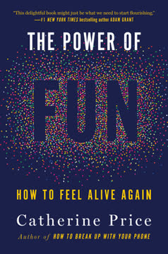 The Power of Fun Summary