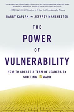 The Power of Vulnerability Summary