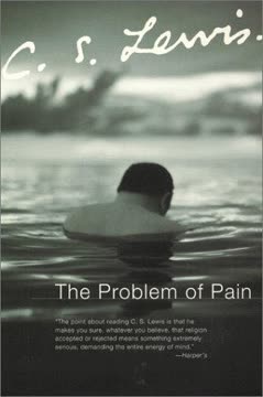 The Problem of Pain Summary