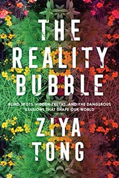 The Reality Bubble Summary