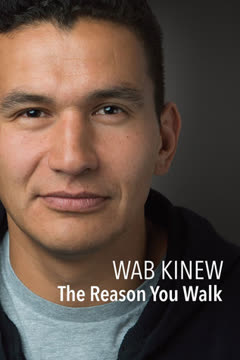 The Reason You Walk Summary