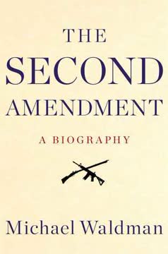 The Second Amendment Summary
