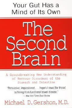 The Second Brain Summary