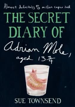 The Secret Diary of Adrian Mole, Aged 13 3/4 Summary