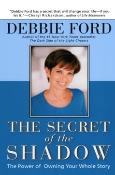The Secret of the Shadow Summary