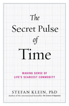 The Secret Pulse of Time Summary