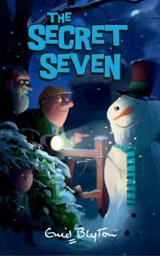 The Secret Seven Summary