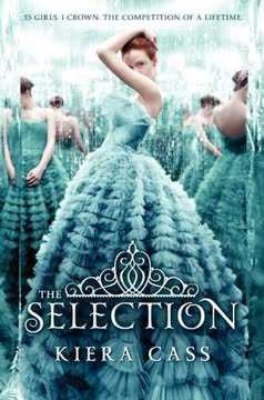 The Selection Summary
