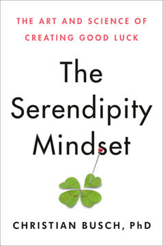 The Serendipity Mindset Summary
