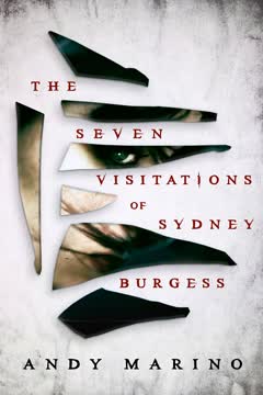 The Seven Visitations of Sydney Burgess Summary