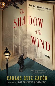 The Shadow of the Wind Summary