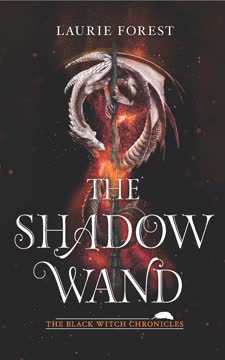 The Shadow Wand Summary