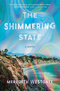 The Shimmering State Summary