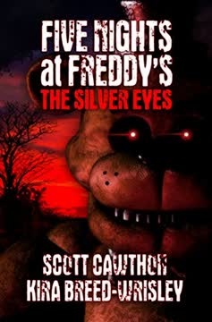 The Silver Eyes Summary