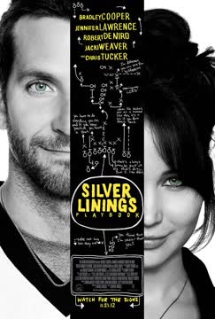 The Silver Linings Playbook Summary