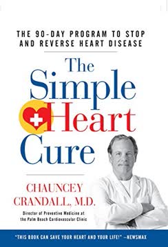 The Simple Heart Cure Summary