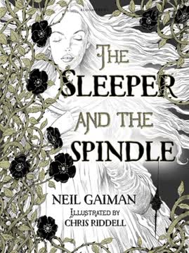 The Sleeper and the Spindle Summary