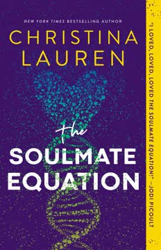 The Soulmate Equation Summary