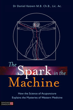The Spark in the Machine Summary