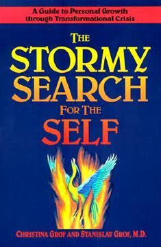The Stormy Search for the Self Summary