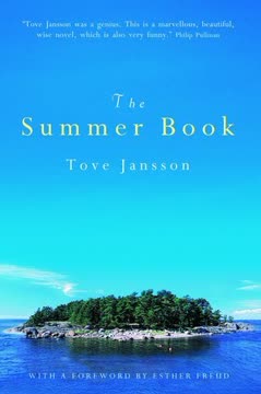 The Summer Book Summary