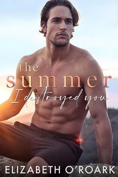 The Summer I Destroyed You Summary
